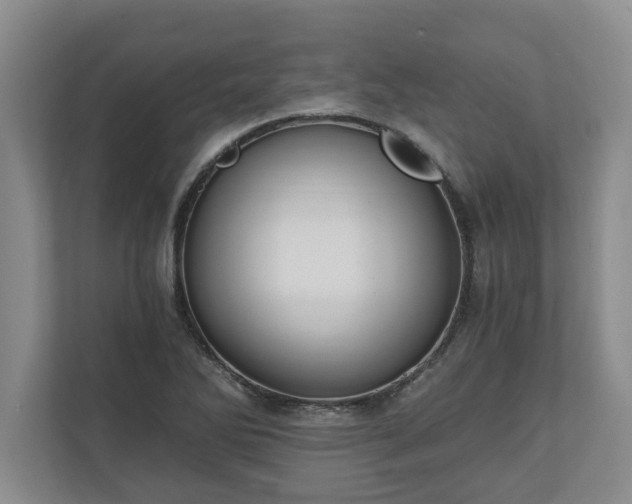 X0000110891270200906251310