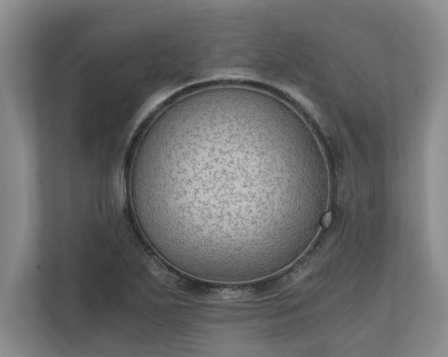 X0000110891271200906251310
