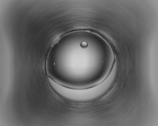 X0000110891273200906251310