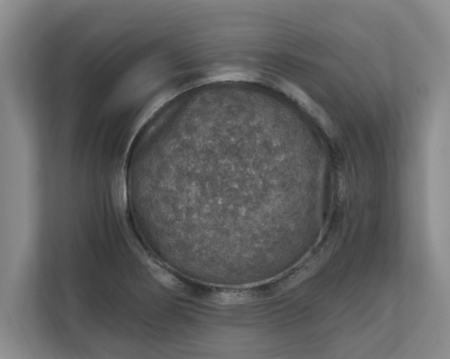 X0000110891274200906251310