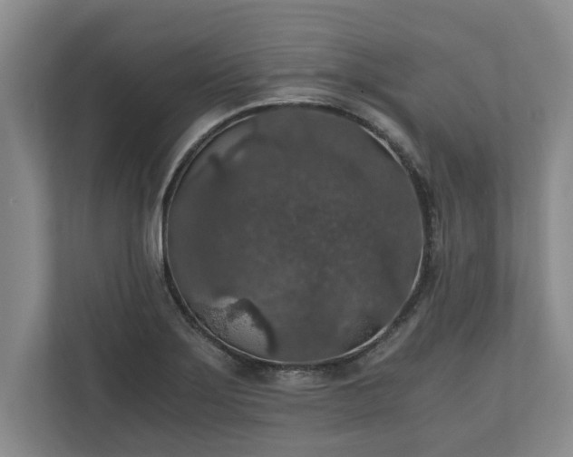 X0000110891275200906251310