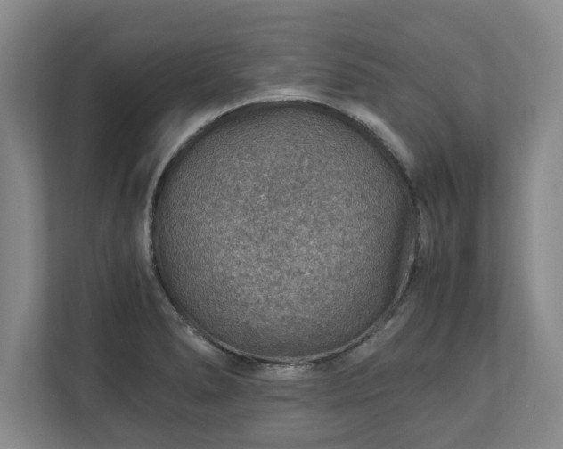 X0000110891278200906251310