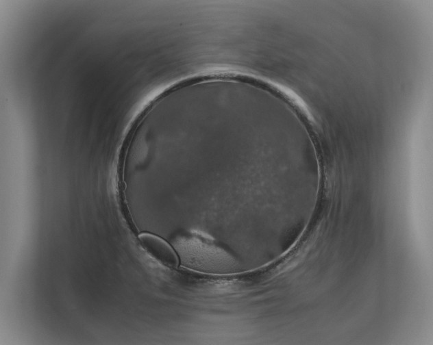 X0000110891279200906251310
