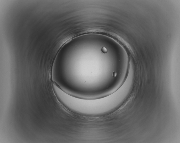 X0000110891281200906251310
