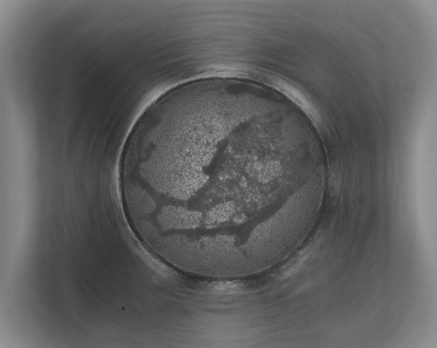 X0000110891283200906251310