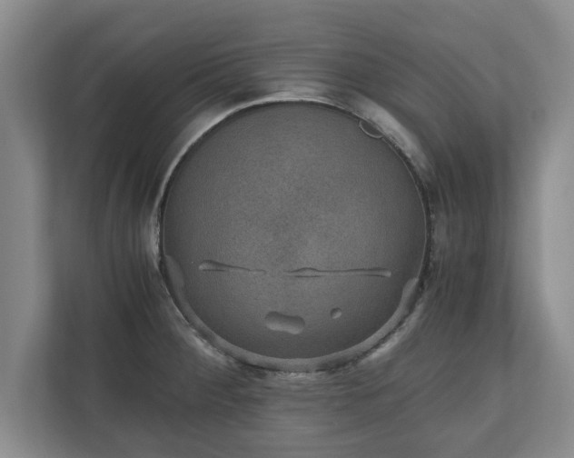 X0000110891284200906251310