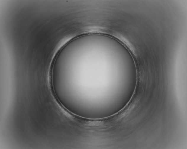 X0000110891285200906251310