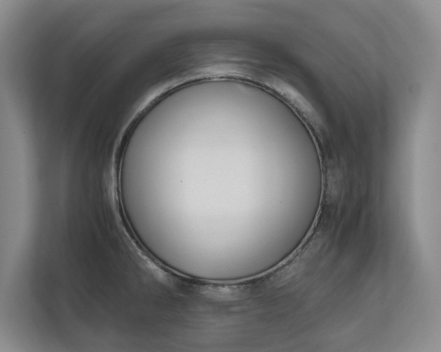 X0000110891286200906251310