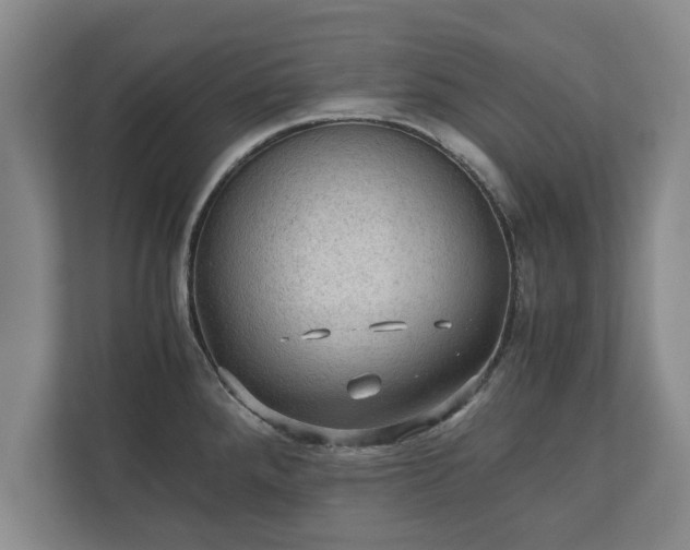 X0000110891288200906251310