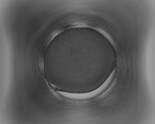 X0000110891289200906251310