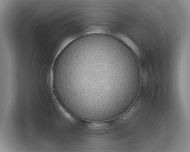 X0000110891290200906251310
