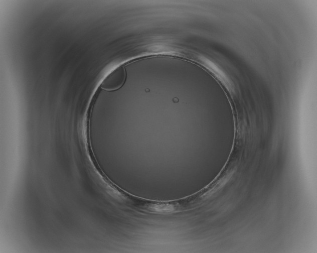 X0000110891291200906251310