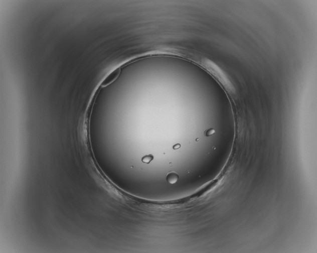 X0000110891292200906251310