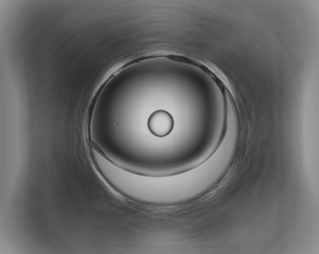 X0000110891293200906251310