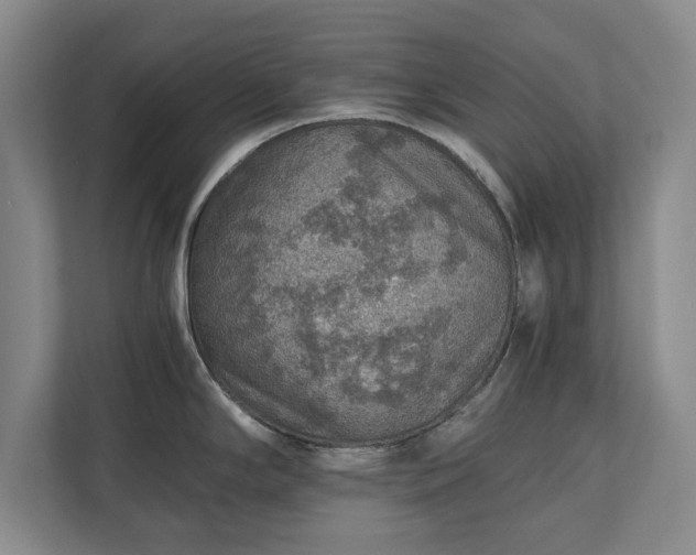 X0000110891294200906251310