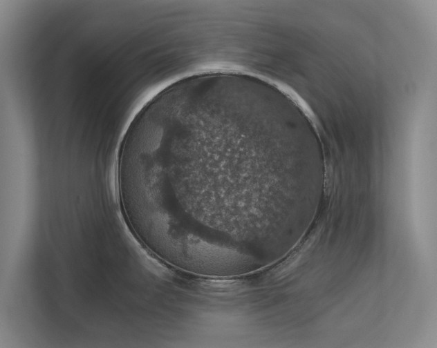 X0000110891295200906251310