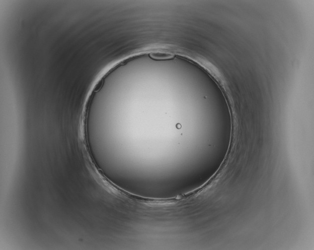 X0000110891296200906251310