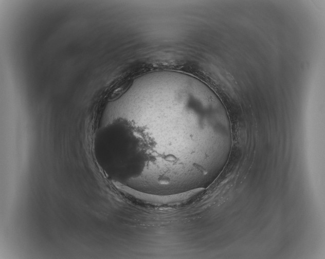 X0000110891297200906251309
