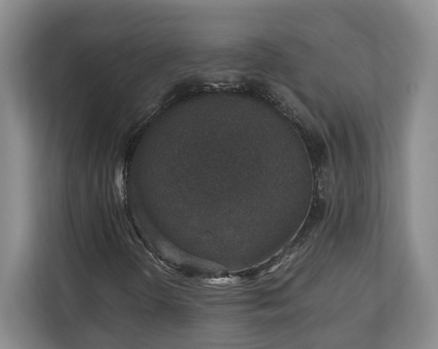 X0000110891298200906251309