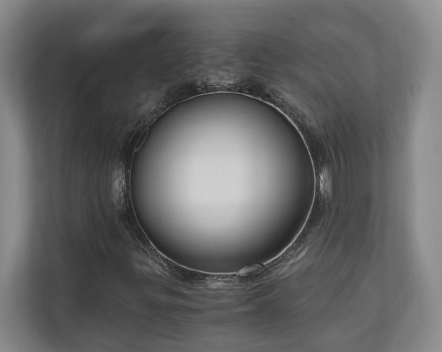X0000110891299200906251309