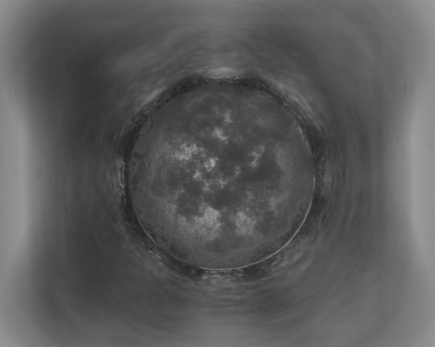 X0000110891301200906251309