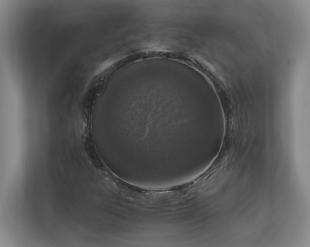 X0000110891303200906251309