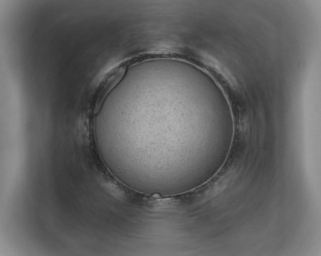 X0000110891304200906251309
