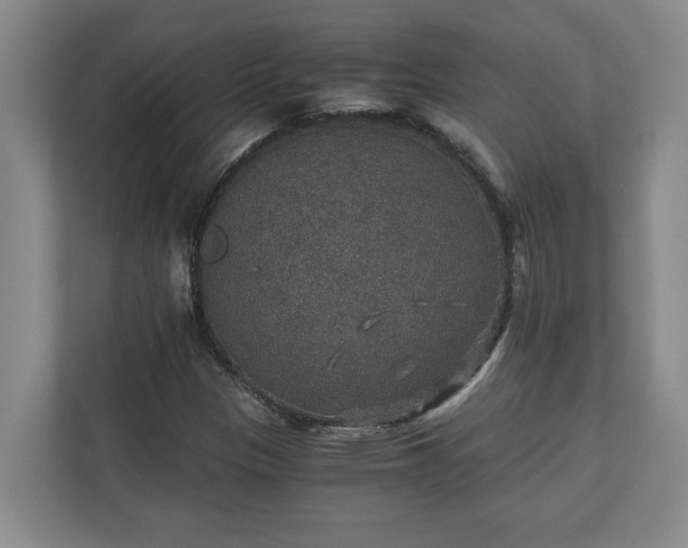X0000110891305200906251309