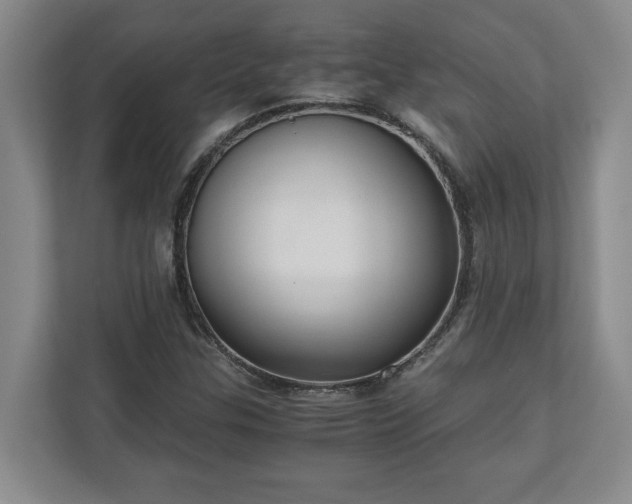 X0000110891307200906251309