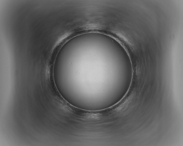 X0000110891309200906251309