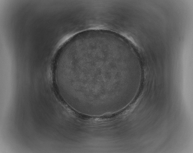 X0000110891311200906251309
