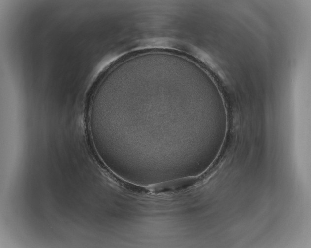 X0000110891312200906251309