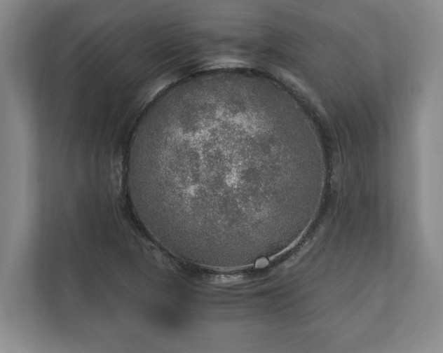 X0000110891313200906251309