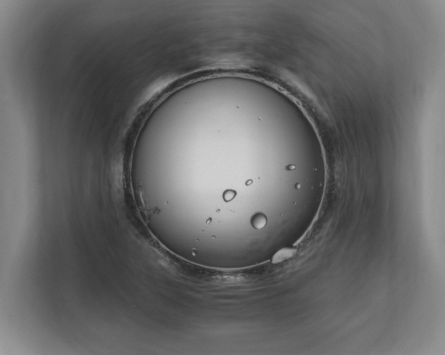 X0000110891315200906251309