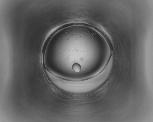 X0000110891320200906251309
