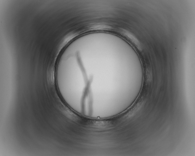 X0000110891322200906251309