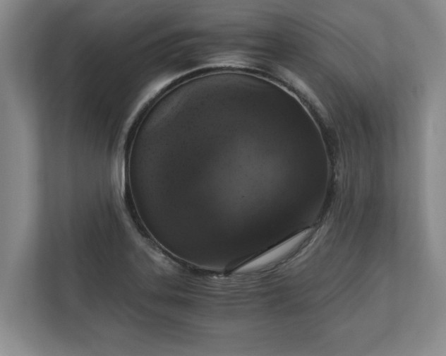 X0000110891323200906251309