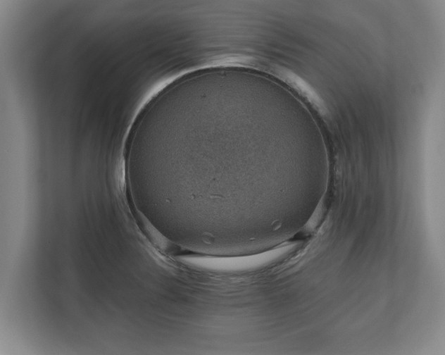 X0000110891324200906251309