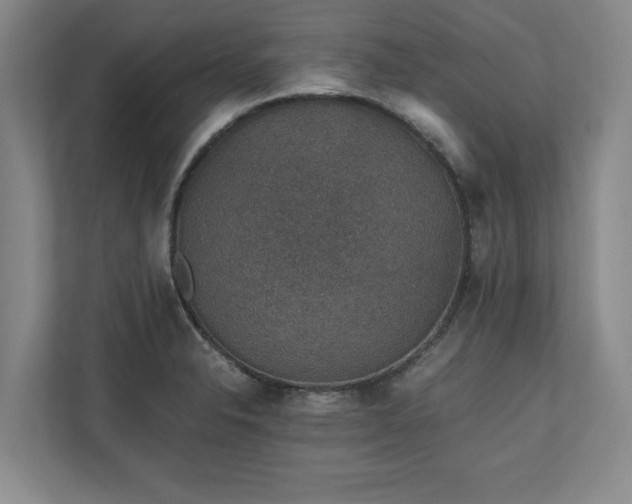 X0000110891326200906251309