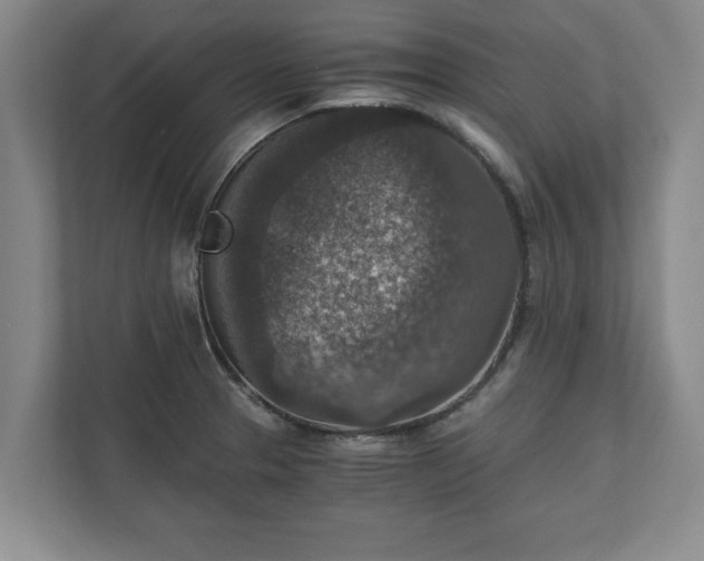 X0000110891329200906251309
