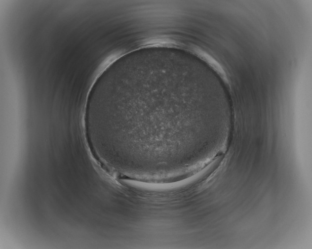 X0000110891330200906251309