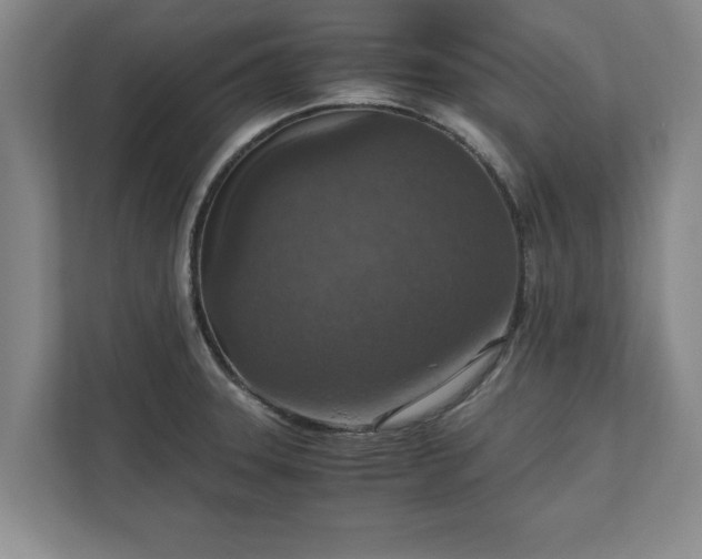 X0000110891331200906251310