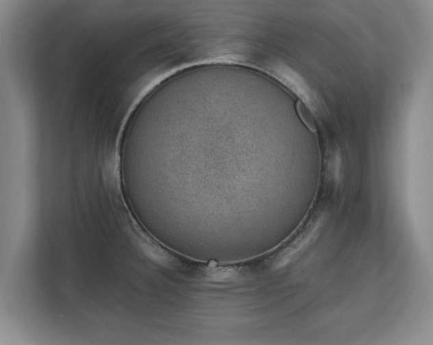 X0000110891332200906251310