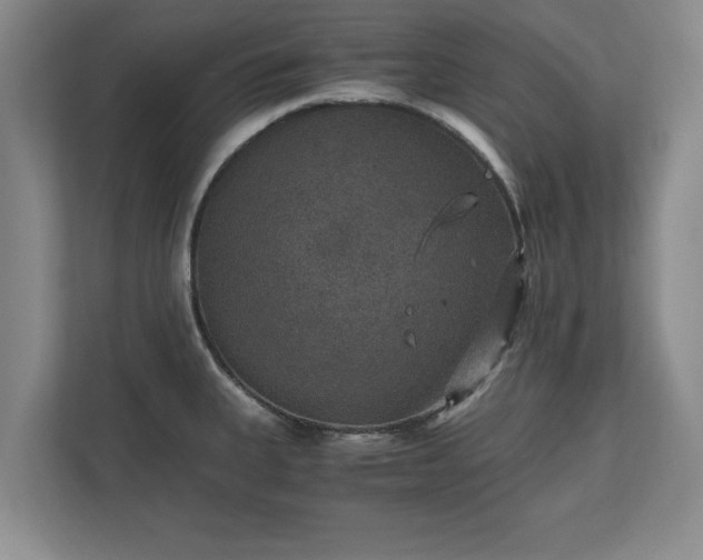 X0000110891335200906251310