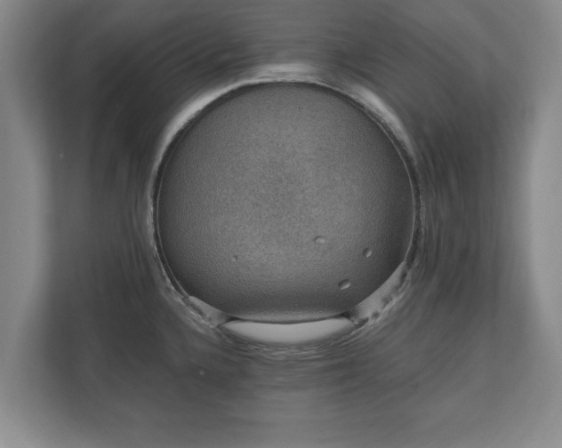 X0000110891336200906251310