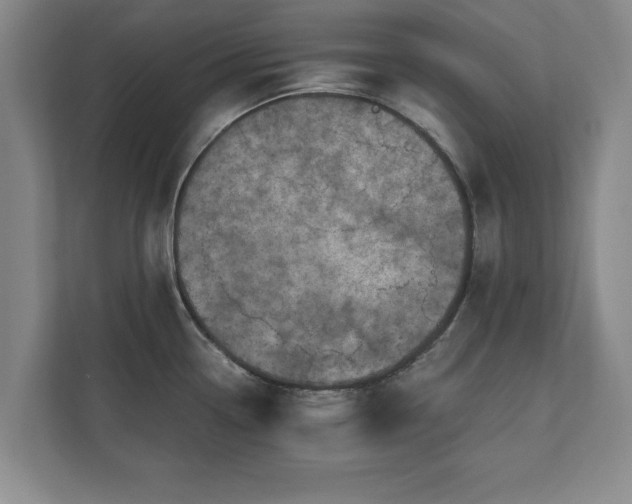 X0000110891338200906251310