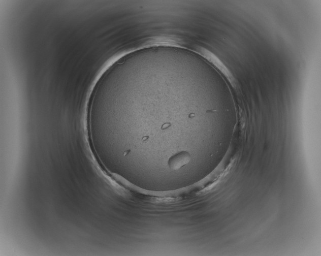 X0000110891339200906251310