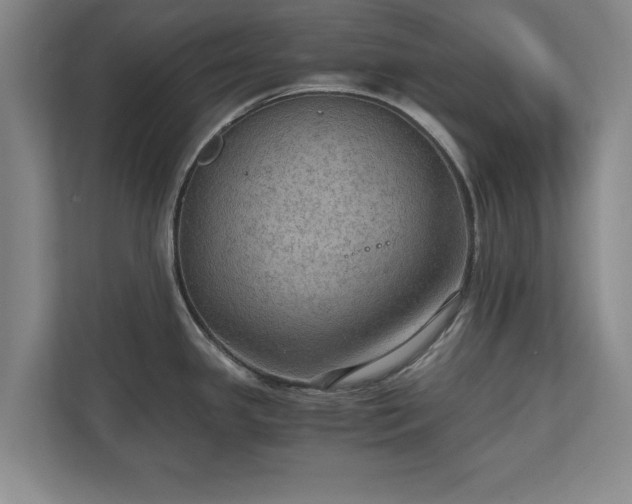 X0000110891341200906251310