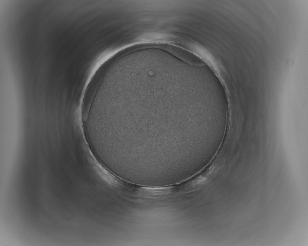 X0000110891344200906251310