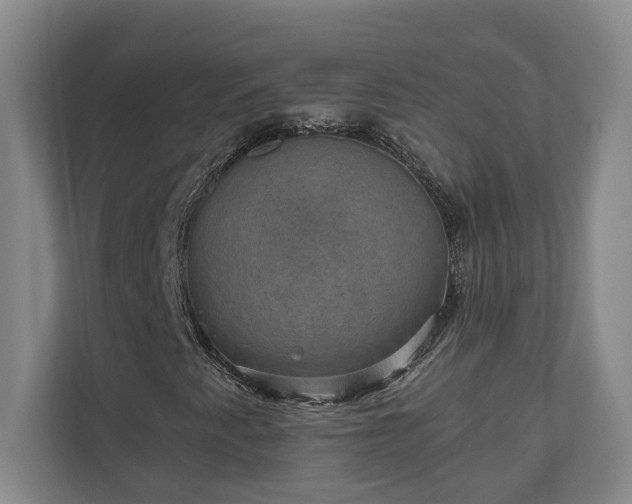 X0000110891345200906251309
